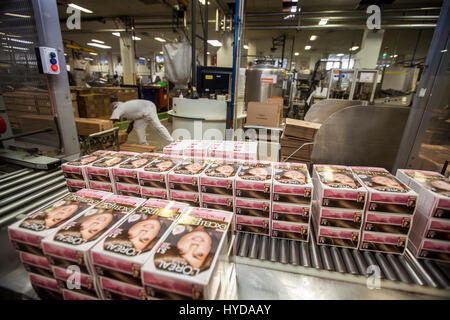 Multinational cosmetics company headquartered in France L`Oreal plant in Rio de Janeiro, Brazil - packaging. Stock Photo